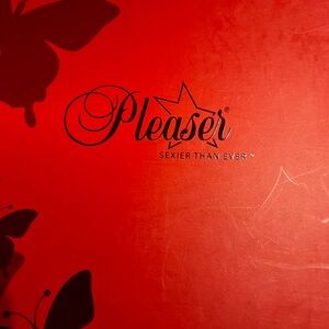 Pleaser heels size 9